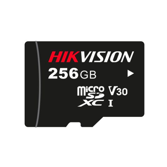 HKHSTFP1STD256G